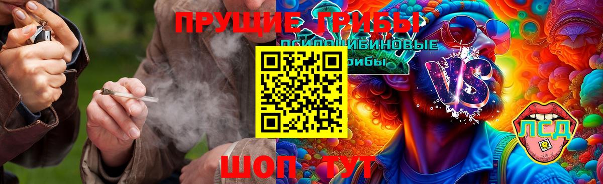 Галлюциногенные грибы прущие грибы  Вход с VPN  Псилоцибиновые грибы Cubensis  Миллерово 